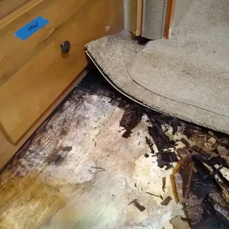 Wood Floor Water Damage in Jefferson County, NE